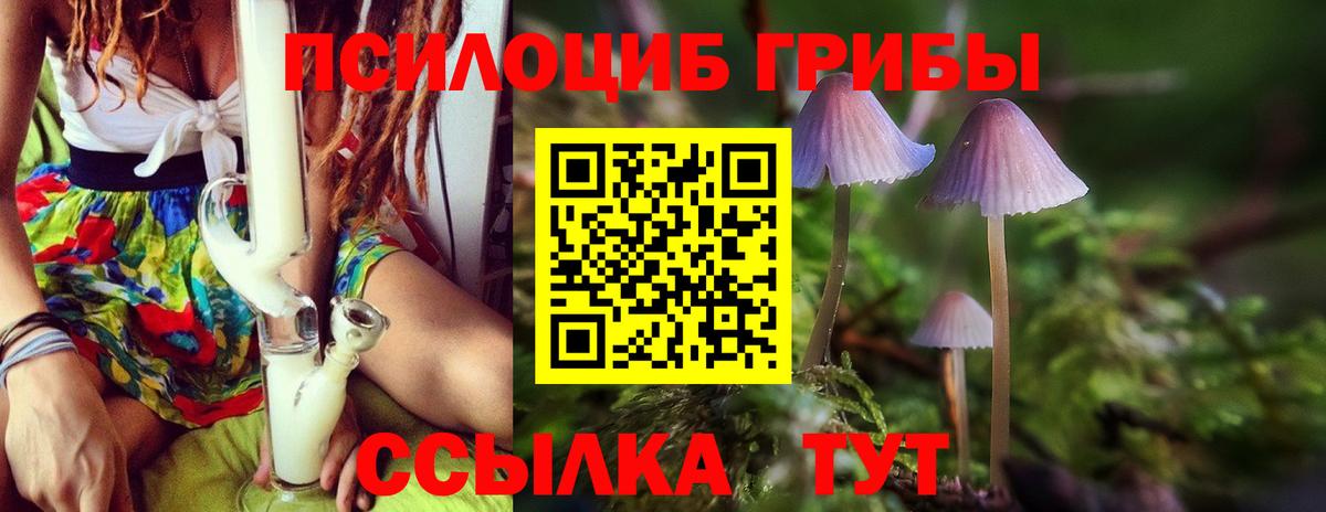 Гуково  Псилоцибиновые грибы Psilocybe  Вход с VPN 