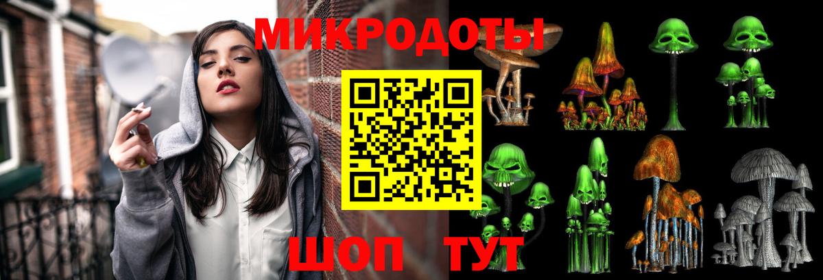 Псилоцибиновые грибы Psilocybine cubensis Гуково